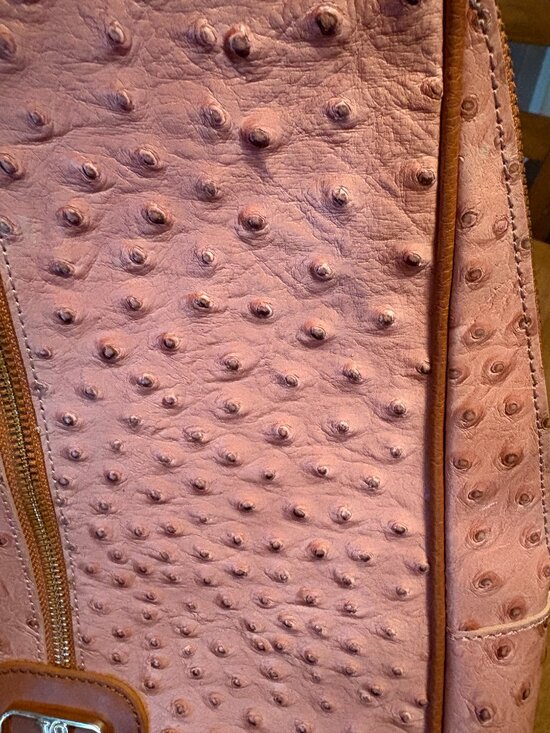 NWOT Rare Valentina Italian Ostrich Leather Backpack/Handle Bag. main image 15